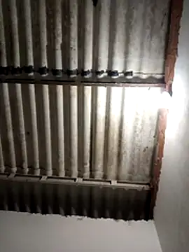 LoonyIdiot online show from 04.08.26