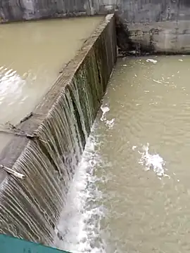 Pourleplasirs online show from 02.24.25