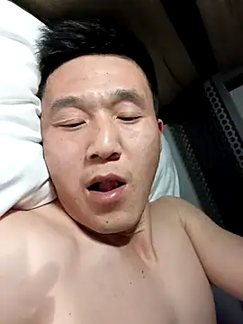 wadmma online show from 02.12.25