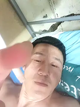 wadmma online show from 03.08.26