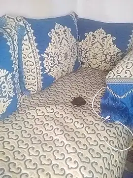 Snapshot of pora-34 chatting on 11.01.25 pora-34 online show from 11.01.25