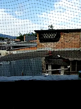 Niick01  online show from 11.09.25