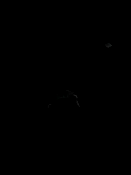 Snapshot of Codybugs0206 chatting on 11.22.25 Codybugs0206 online show from 11.22.25