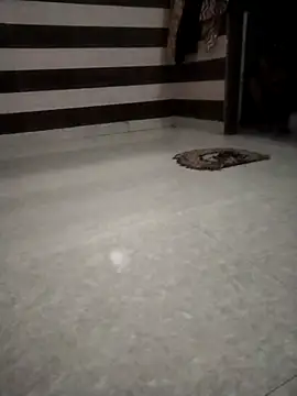 sdfuubjkn online show from 04.28.26