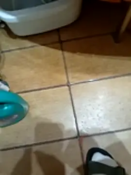 NAvoglia online show from 03.12.26