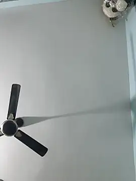 Babybird online show from 02.10.25