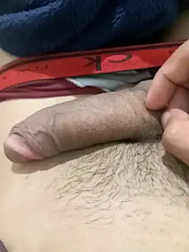 Snapshot of blzin20 chatting on 02.02.25 blzin20 online show from 02.02.25