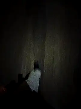 dominationmybigdick online show from 10.27.25