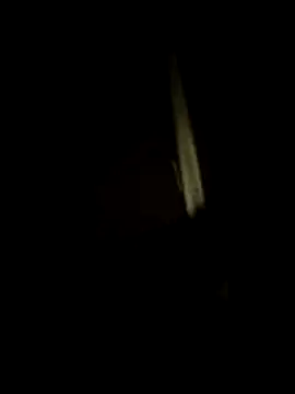 dominationmybigdick online show from 07.17.26