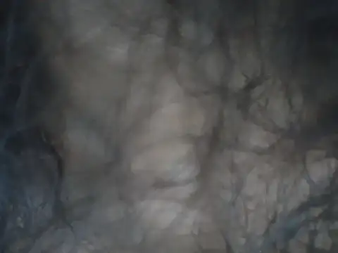 alexiaross96 online show from 03.13.26