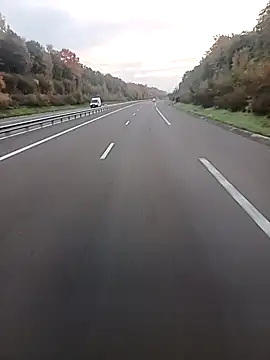 Dam70 online show from 10.17.25