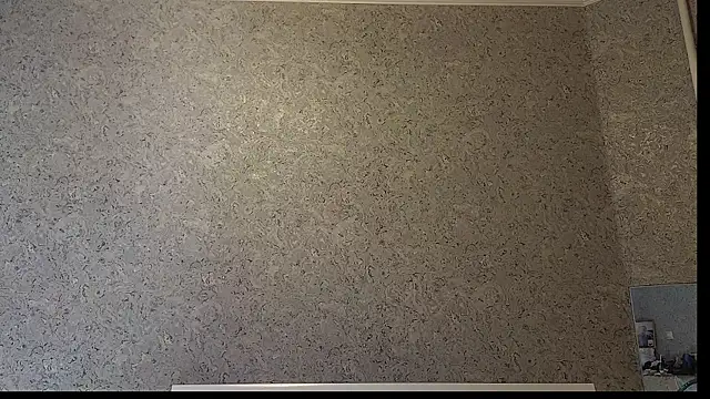 Snapshot of DemiDee chatting on 12.15.25 DemiDee online show from 12.15.25