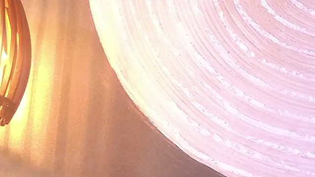 Snapshot of lissa_palmer chatting on 11.30.25 lissa palmer online show from 11.30.25