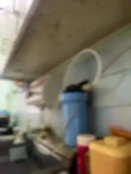 Carola-Ross online show from 01.06.26