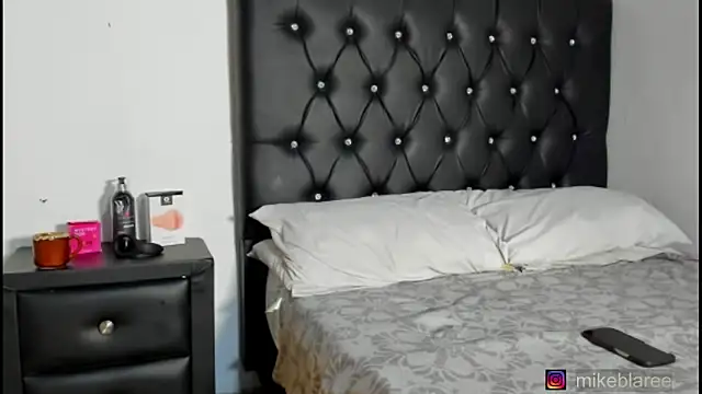 Snapshot of mikeblaree chatting on 02.21.26 mikeblaree online show from 02.21.26