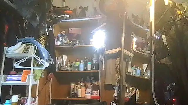 Snapshot of ShysluutGia chatting on 01.31.26 ShysluutGia online show from 01.31.26