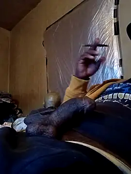 birdg online show from 01.16.26