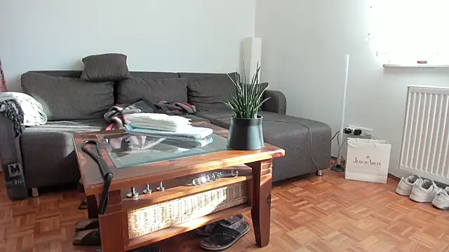 molicaremolicare online show from 11.27.25