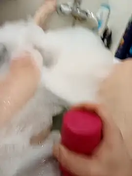 flo000031 online show from 02.16.26