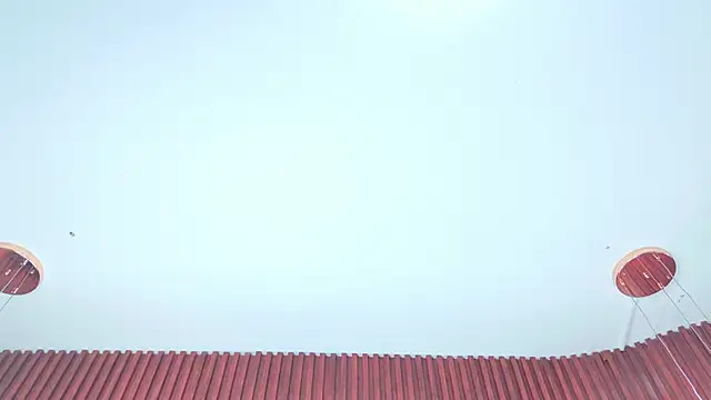 YesyHills online show from 05.20.26