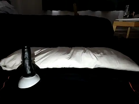 Snapshot of MystiqueRider chatting on 10.25.25 MystiqueRider online show from 10.25.25