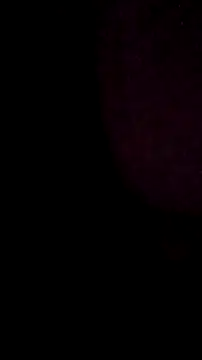 salchichon 69 online show from 03.11.26