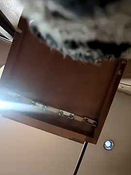 QueenM3 online show from 03.11.25