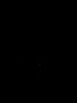 Snapshot of Nidge251 chatting on 11.04.25 Nidge251 online show from 11.04.25