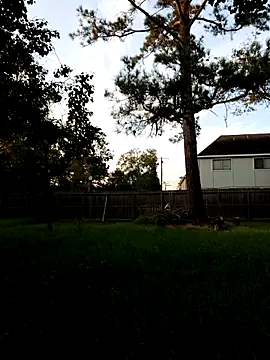 HTXBELLE online show from 09.13.25