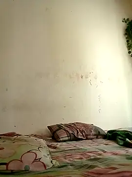 Rafi boy online show from 04.10.26