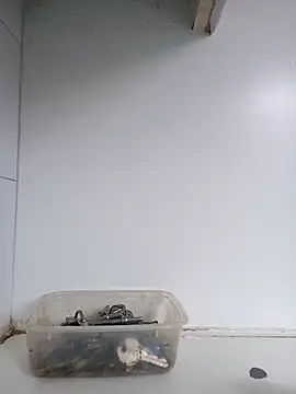 xxTatiannaxx online show from 02.28.25