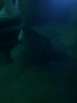 Liam Canales online show from 04.21.26