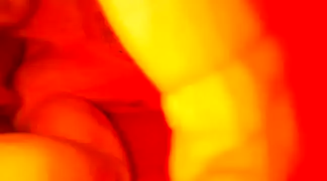 JCstrings online show from 02.21.25