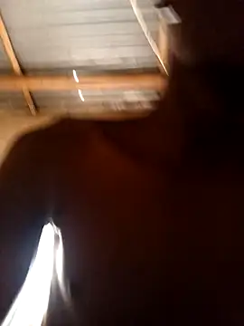 Snapshot of lilpip chatting on 02.15.26 lilpip online show from 02.15.26