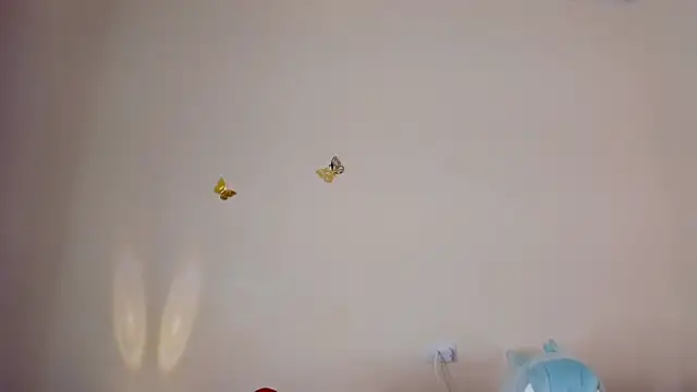 violett 24  online show from 11.14.25