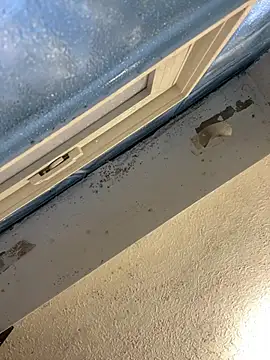 YODAPESOS online show from 02.23.26