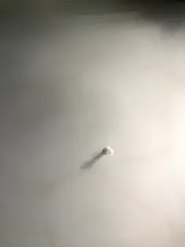 1Zoey101 online show from 12.18.25