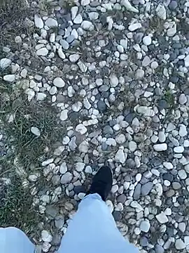 Smallcoco26 online show from 03.11.25