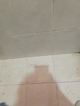 enoc369 online show from 04.23.26