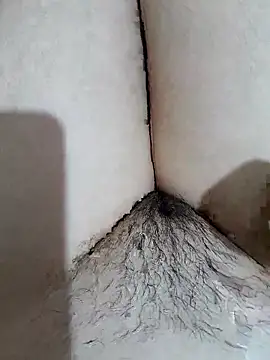 yakot7 online show from 04.19.26