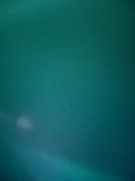 Neha-Bhabhi-Rasily online show from 12.02.25