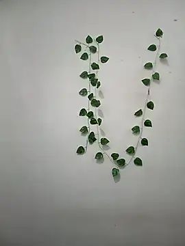 Snapshot of Neha-Bhabhi-Rasily chatting on 03.08.26 Neha-Bhabhi-Rasily online show from 03.08.26