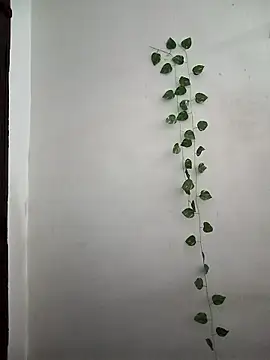 Snapshot of Neha-Bhabhi-Rasily chatting on 03.24.26 Neha-Bhabhi-Rasily online show from 03.24.26