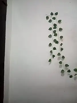 Snapshot of Neha-Bhabhi-Rasily chatting on 03.25.26 Neha-Bhabhi-Rasily online show from 03.25.26