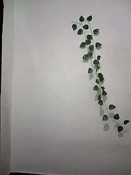 Snapshot of Neha-Bhabhi-Rasily chatting on 04.06.26 Neha-Bhabhi-Rasily online show from 04.06.26