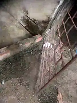 viviksmel online show from 04.19.26