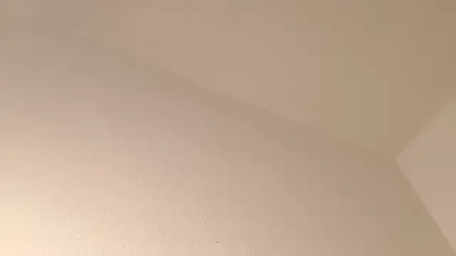 KittyRaine online show from 02.17.26