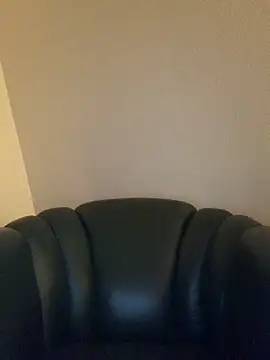 Snapshot of Saysay-7 chatting on 11.08.25 Saysay-7 online show from 11.08.25