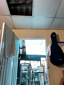 val zx online show from 09.08.25