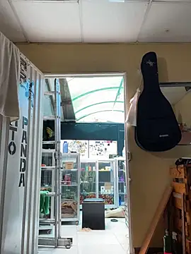 val zx online show from 09.11.25